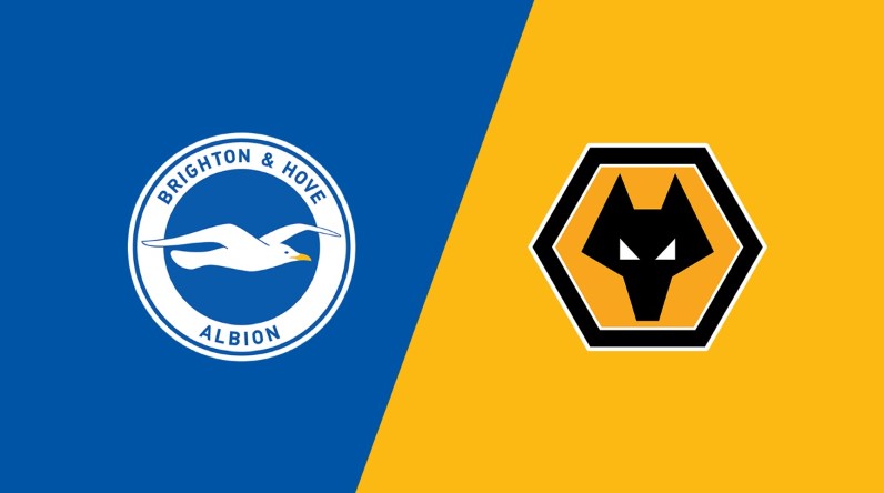 Soi kèo Brighton & Hove Albion vs Wolverhampton Wanderers 21:00 26/10