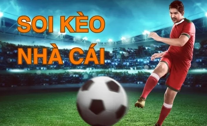 Cách soi kèo nhà cái bóng đá hiệu quả cho người mới